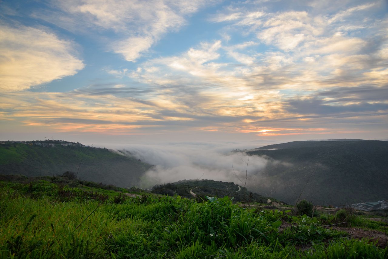 Laguna Canyon