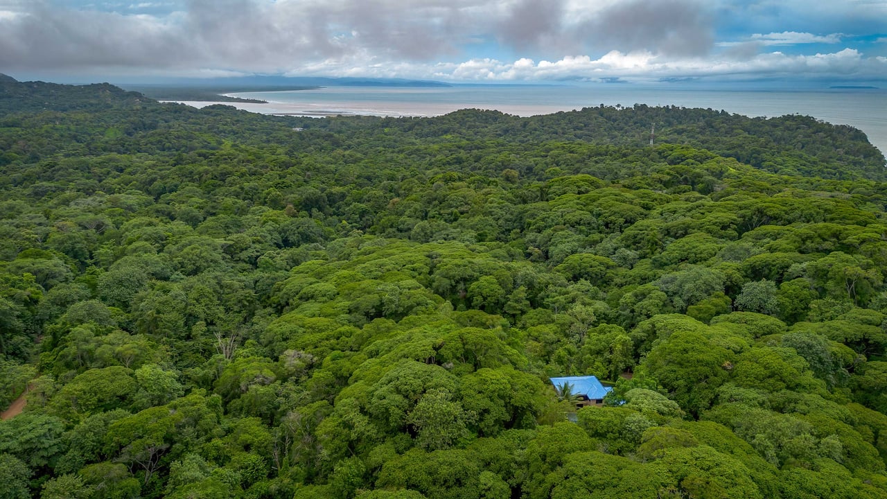 3 Bedroom Jungle Home in Ojochal