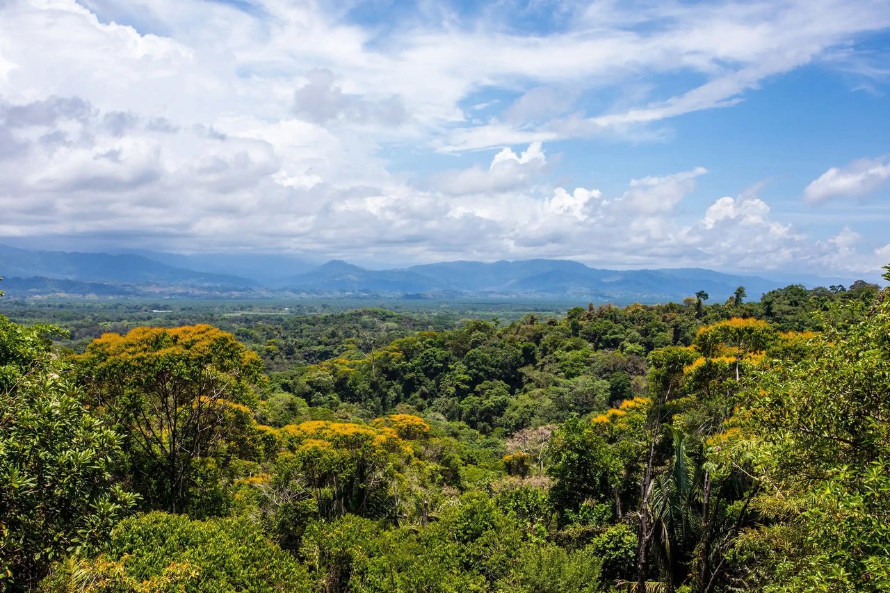  Discover Tranquil Luxury at Villa Joya: Your Exclusive Retreat in El Salto Estates