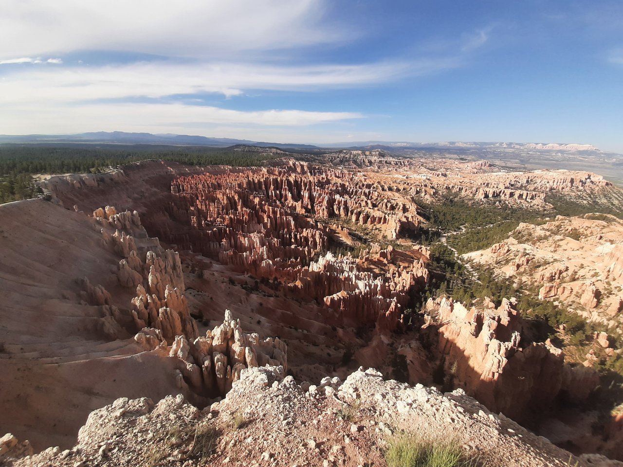 National Parks Trip with Ella and Herc