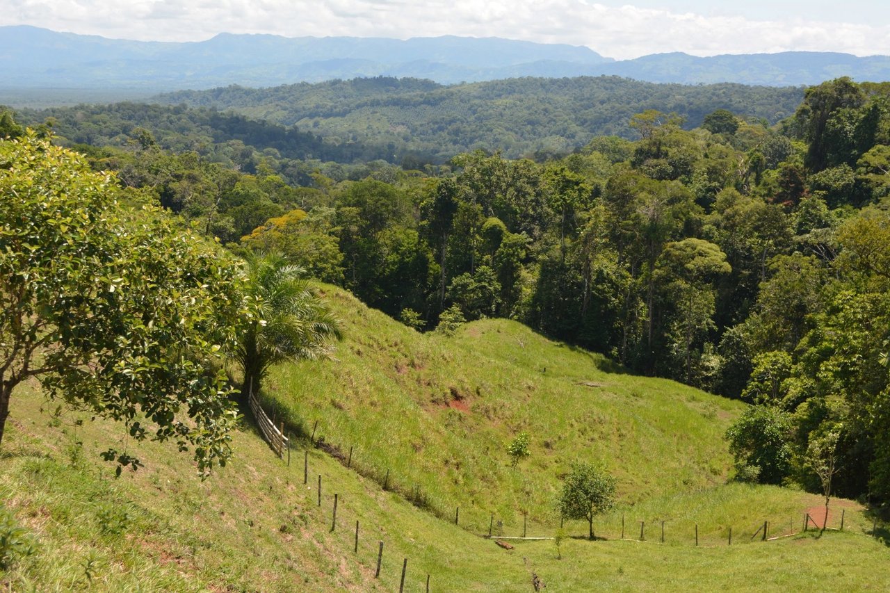 Expansive Ocean View Development Land, Osa, Puntarenas
