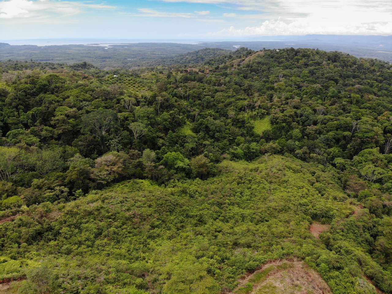 Sierpe Sunset and Jungle Views, 10 Acre Property, OSA!