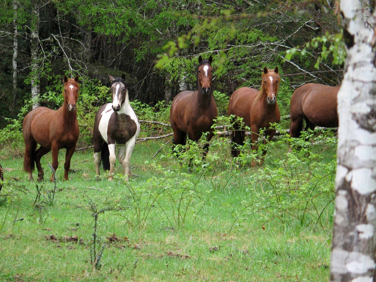 Blue Water Ranch