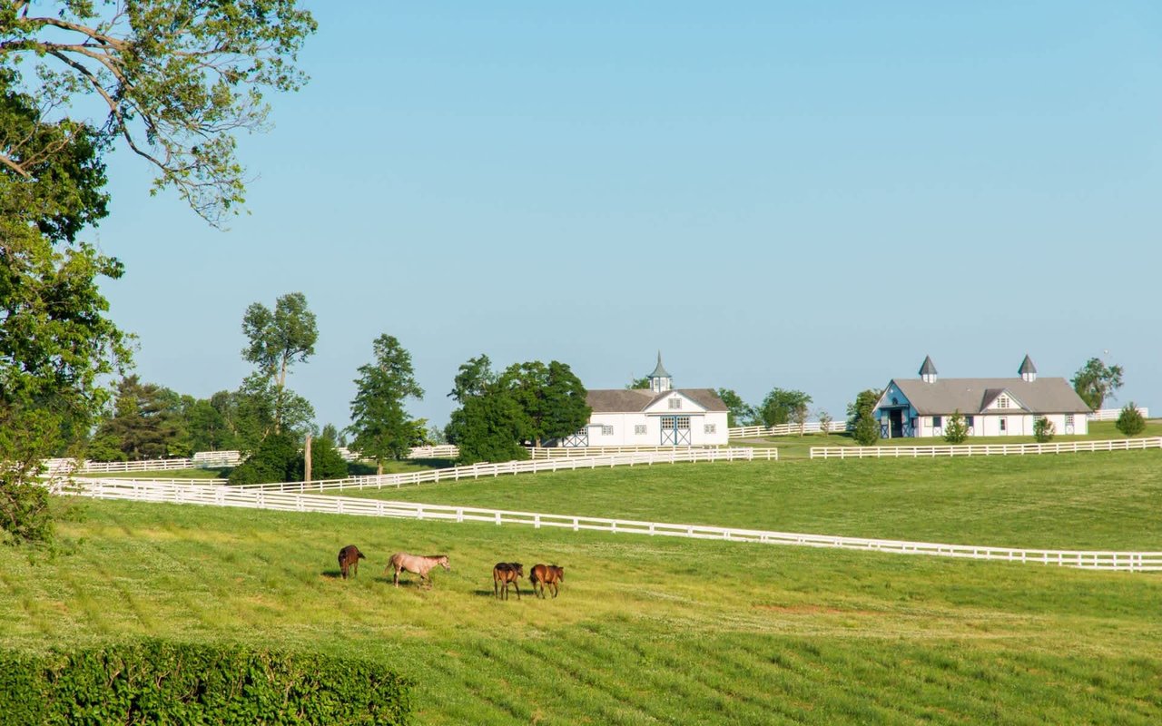 McClendon Hills Equestrian Center