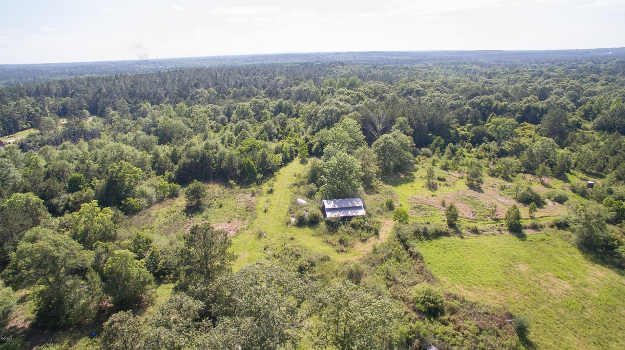 32331 Carey Smith Rd