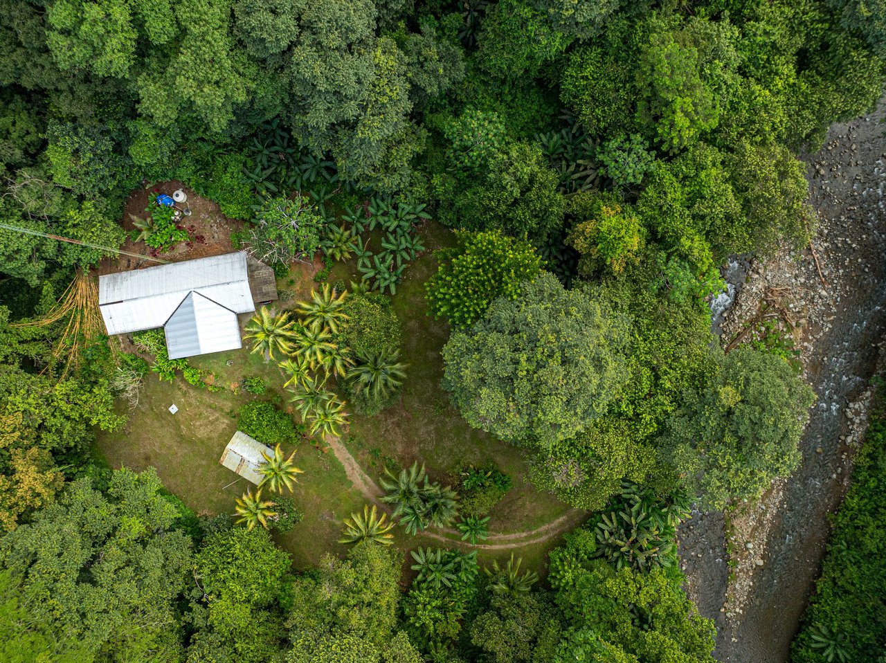 Tropical Hideaway – 7 Acres of Secluded Riverfront with a 3-Bedroom Home