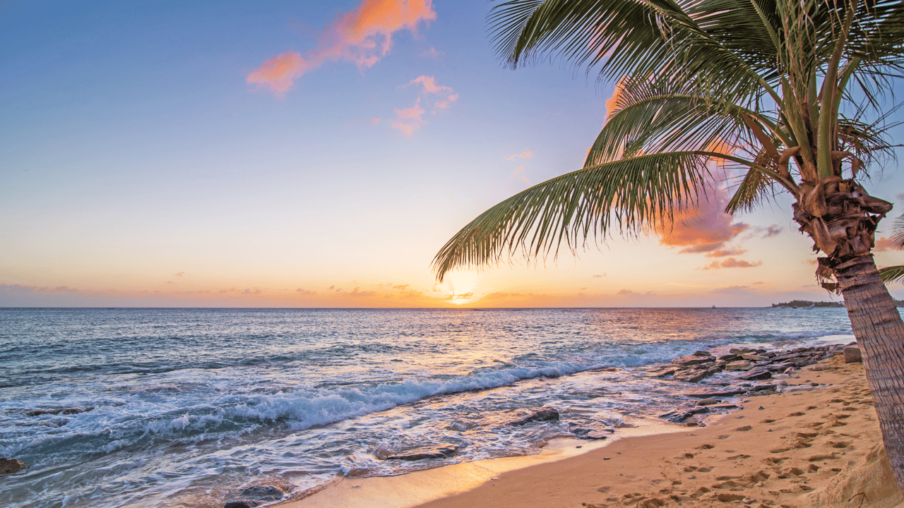 Summer Fun Season on Hawaii Island