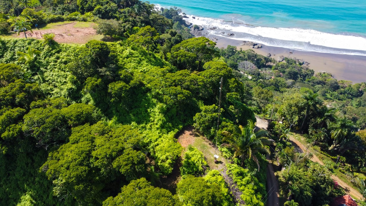 MANGO MANOR RIDGE PREMIER OCEAN VIEW PROPERTY IN DOMINICAL