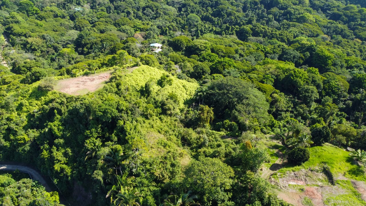 MANGO MANOR RIDGE PREMIER OCEAN VIEW PROPERTY IN DOMINICAL