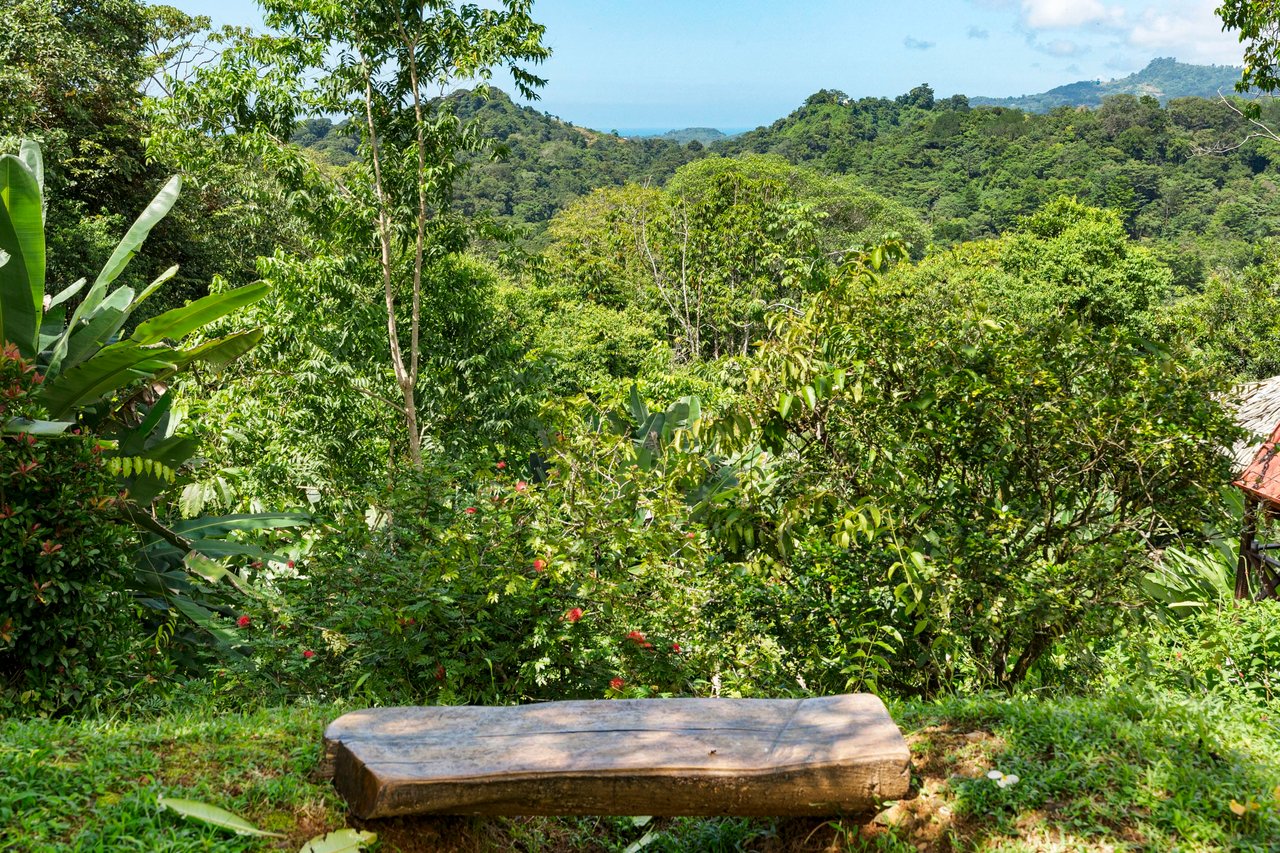 Cozy Sunset Ocean-View Bungalow On 3.5 Acres Of Jungle With Creeks, & Abundant Wildlife In Tres Rios Costa Rica