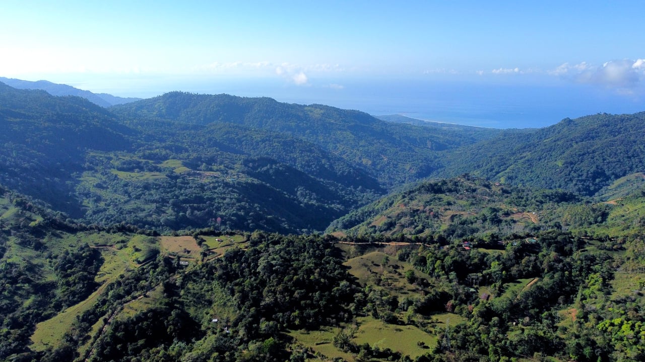 Whales Tail and Ocean View Farm, Over 39 acres