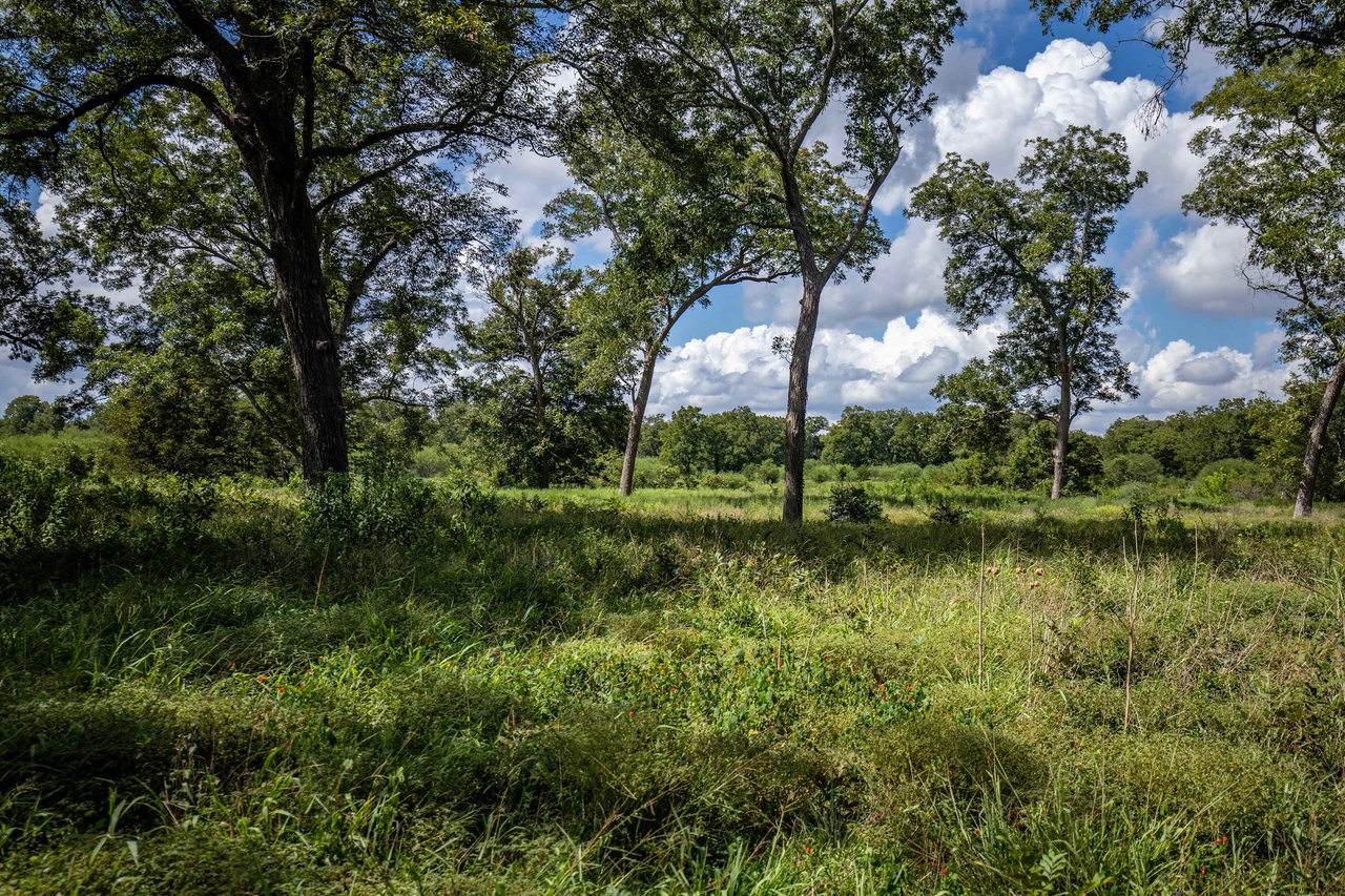 Lovers Lane River Ranch | 140± Acres | DeWitt County