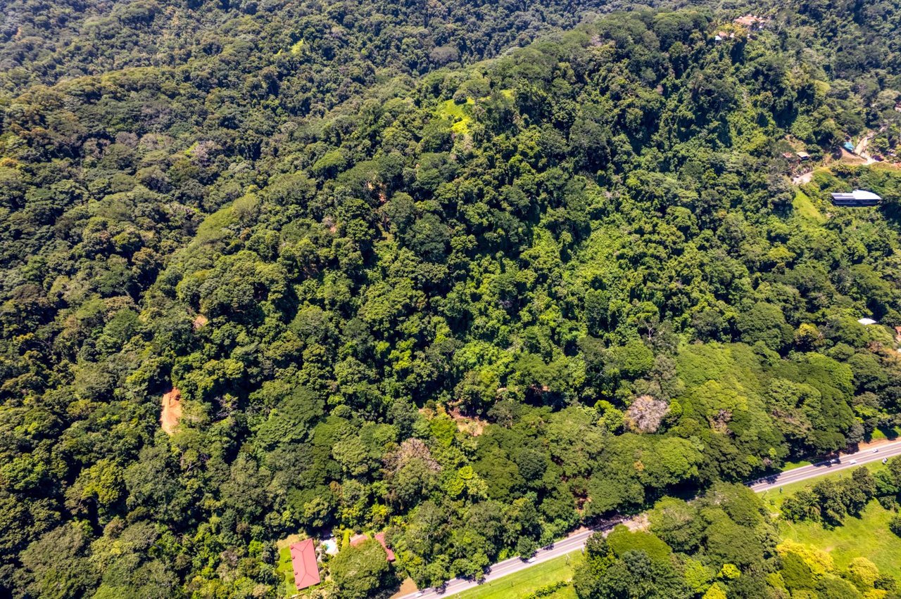 Titled Development Land, Dominical, Puntarenas