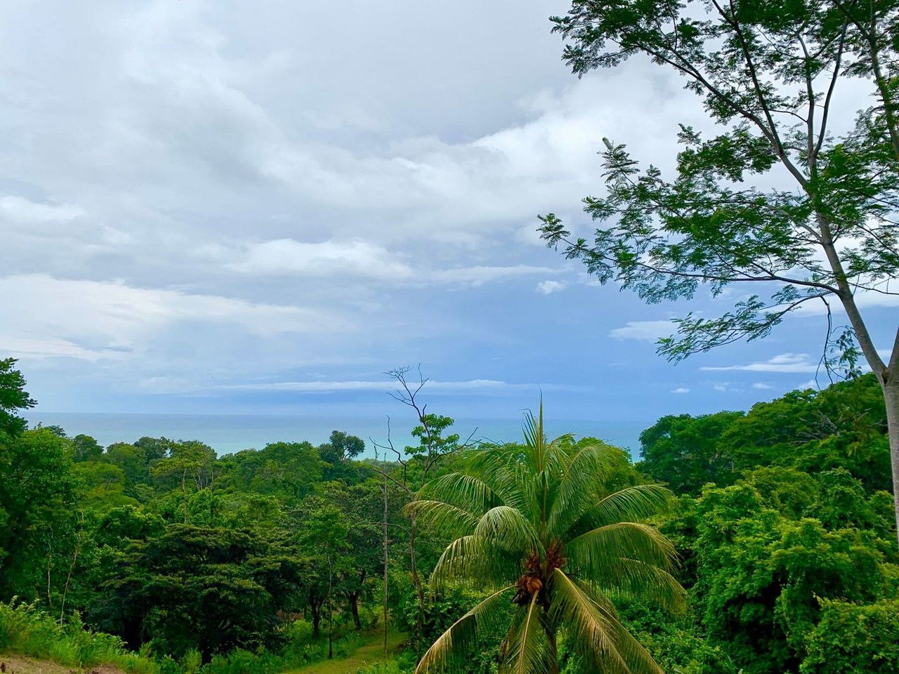 Triple Waterfall Ocean View Land, Dominical, Puntarenas