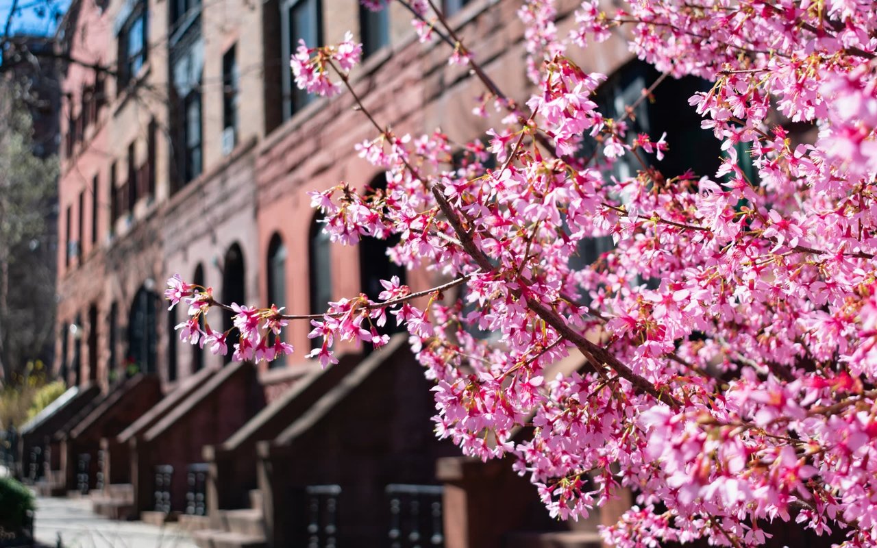 Greenpoint