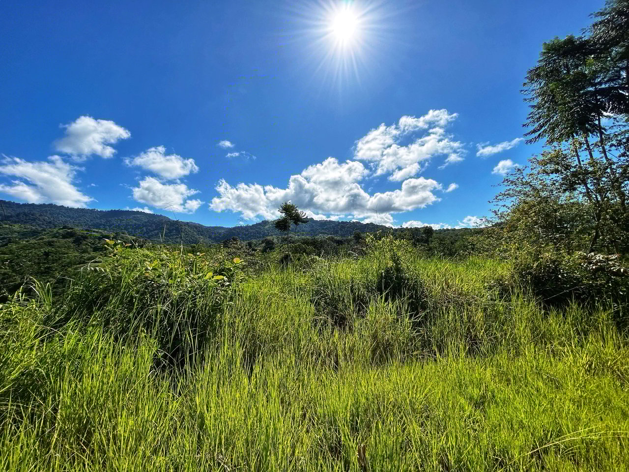 Exclusive Two-Lot Oasis: Your Dream Home Awaits in Gated Paradise!
