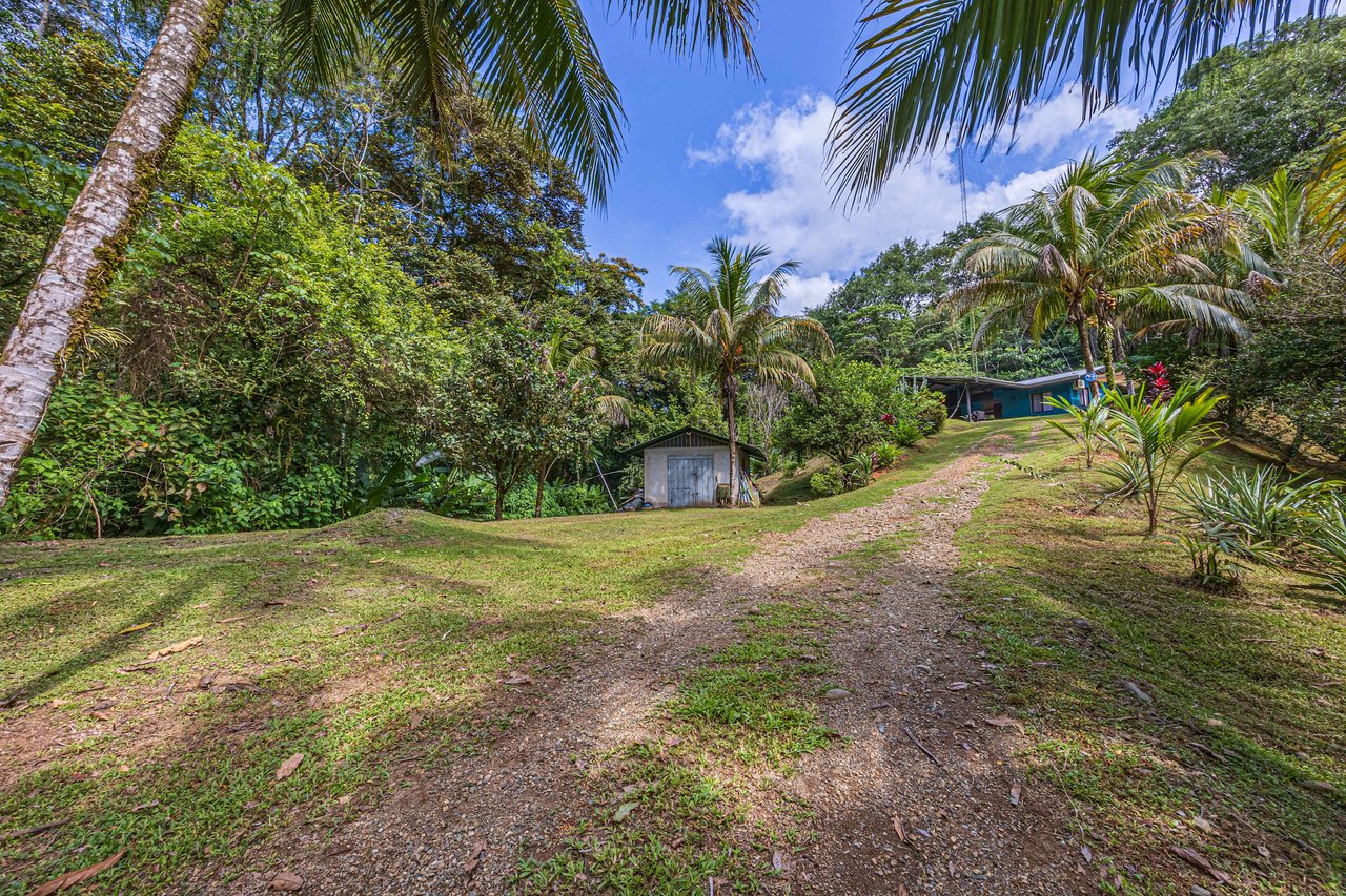 Tropical Hideaway – 7 Acres of Secluded Riverfront with a 3-Bedroom Home