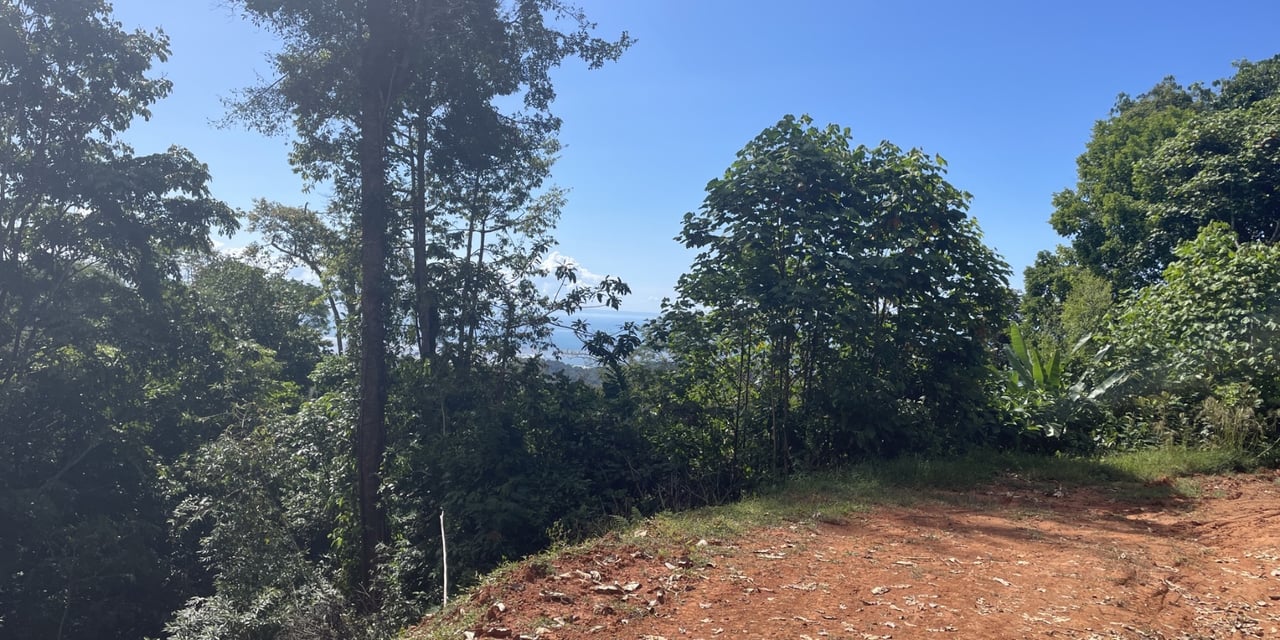 Private Ocean View Development Land, Ojochal, Puntarenas