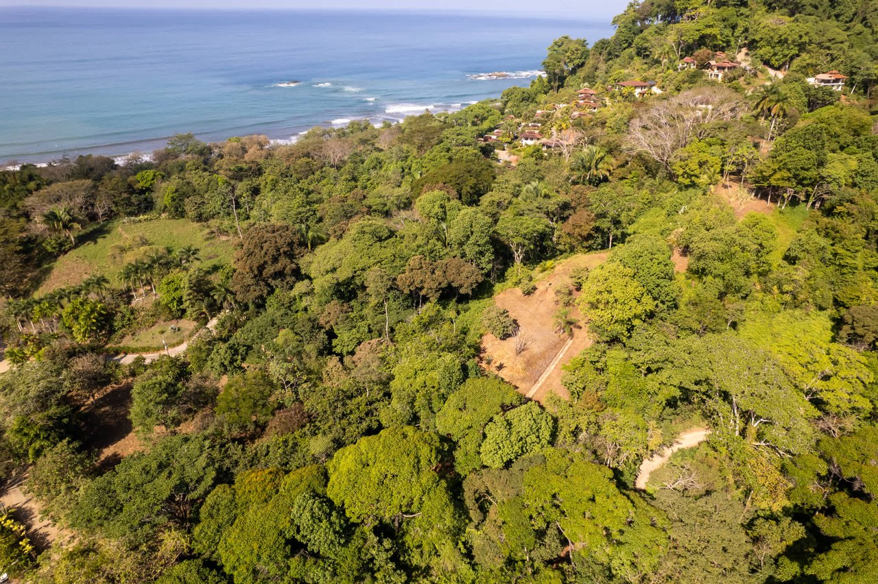 One of a kind Ocean View, Walk to beach Property