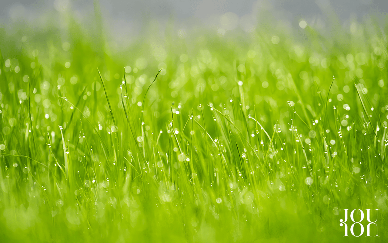 Happy Rainy January!
