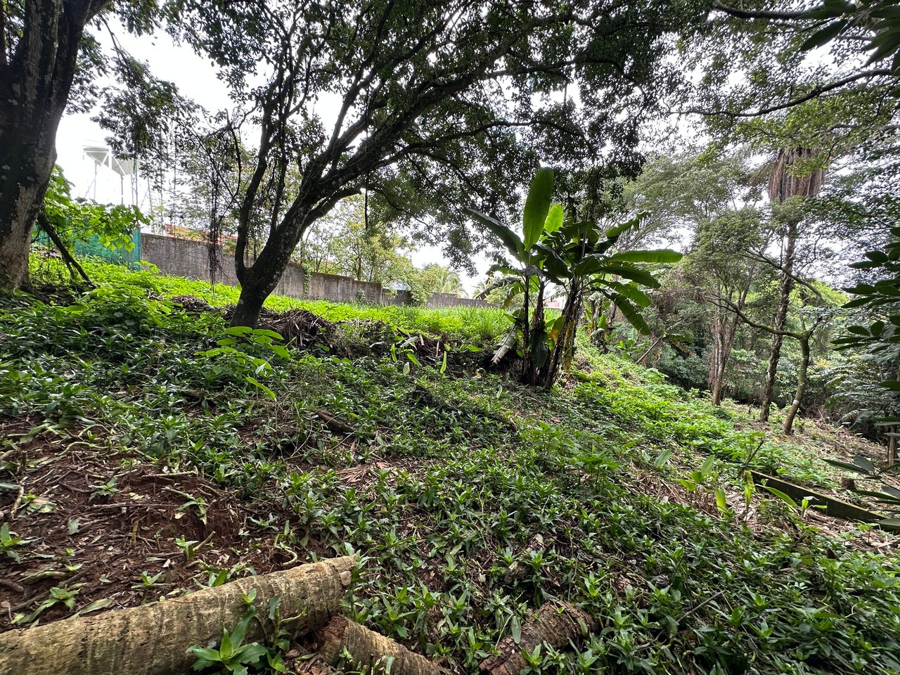 Lush Butterfly Garden Building Lot, Heredia