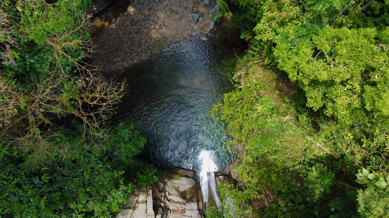 Finca Cerro del Tigre!   Over 20 Acres of Primary Forest and  Waterfalls. 