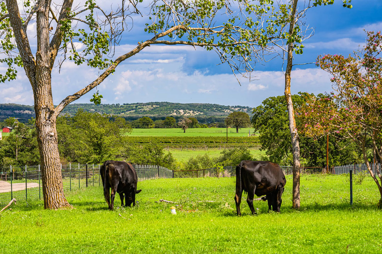 The Meadows at Middle Creek Development