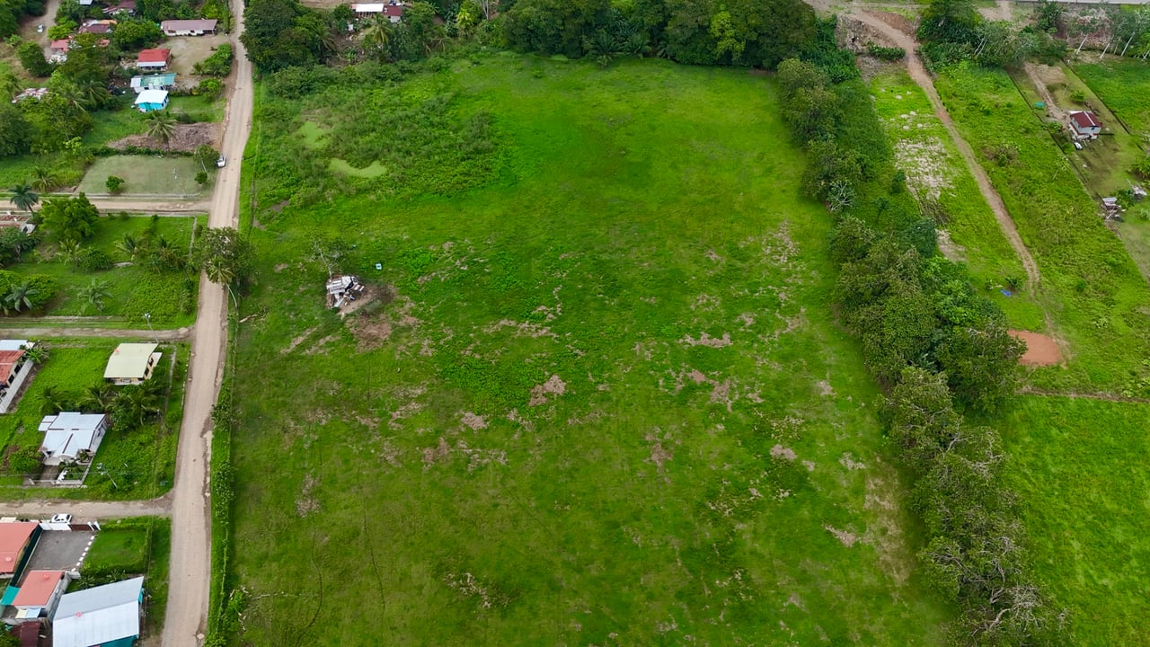 Fire Sale – Over 12 Acres of Land with Public Road Frontage Near Ojochal