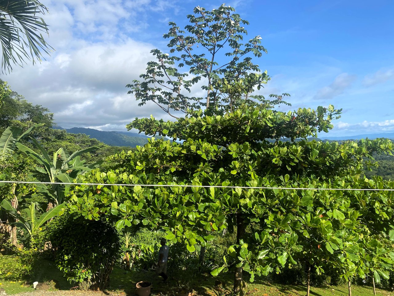 Two Bedroom Home with Stunning Pacific Ocean Views and Sunset too