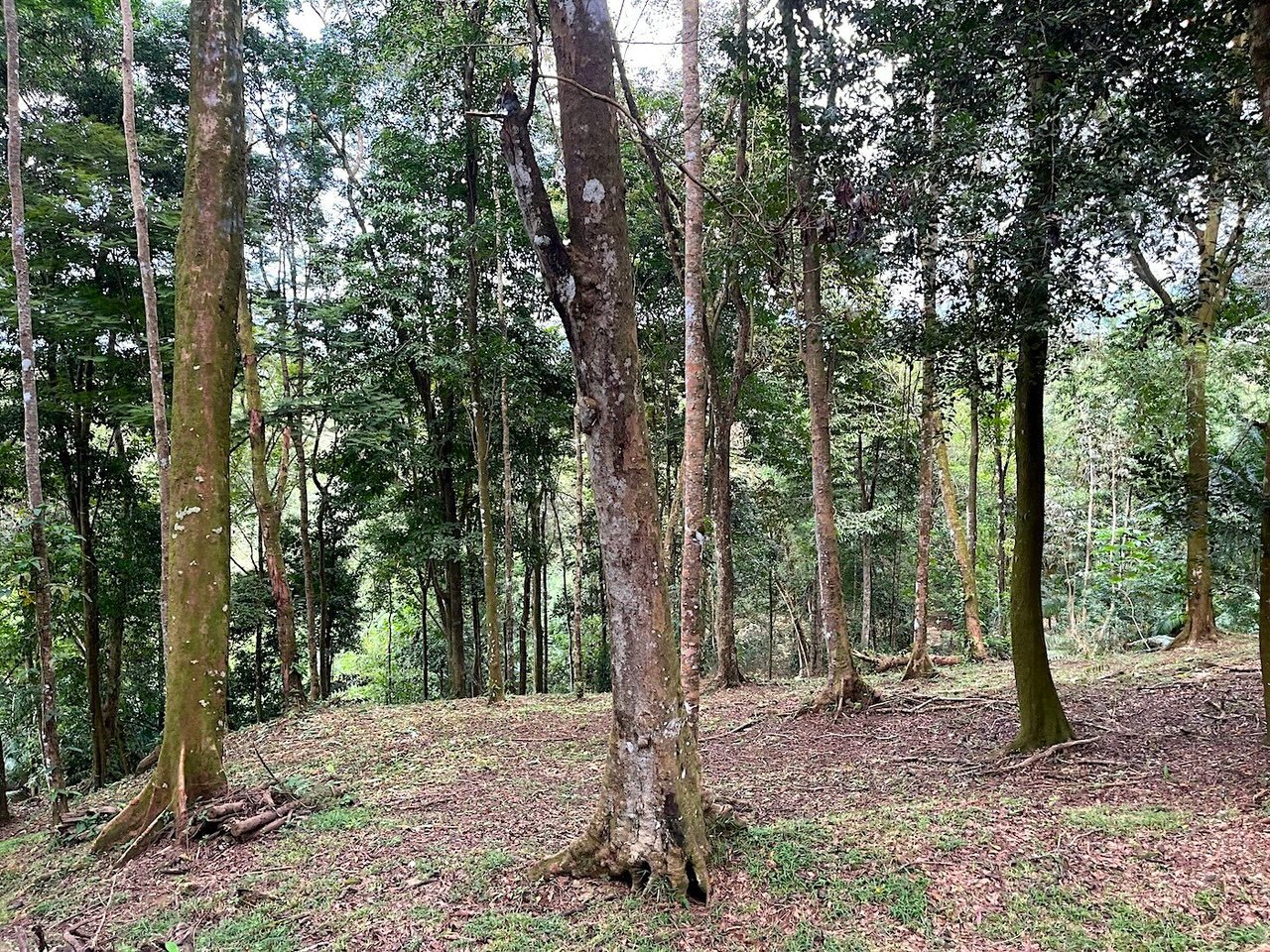 Luxury Development Land, Uvita, Puntarenas