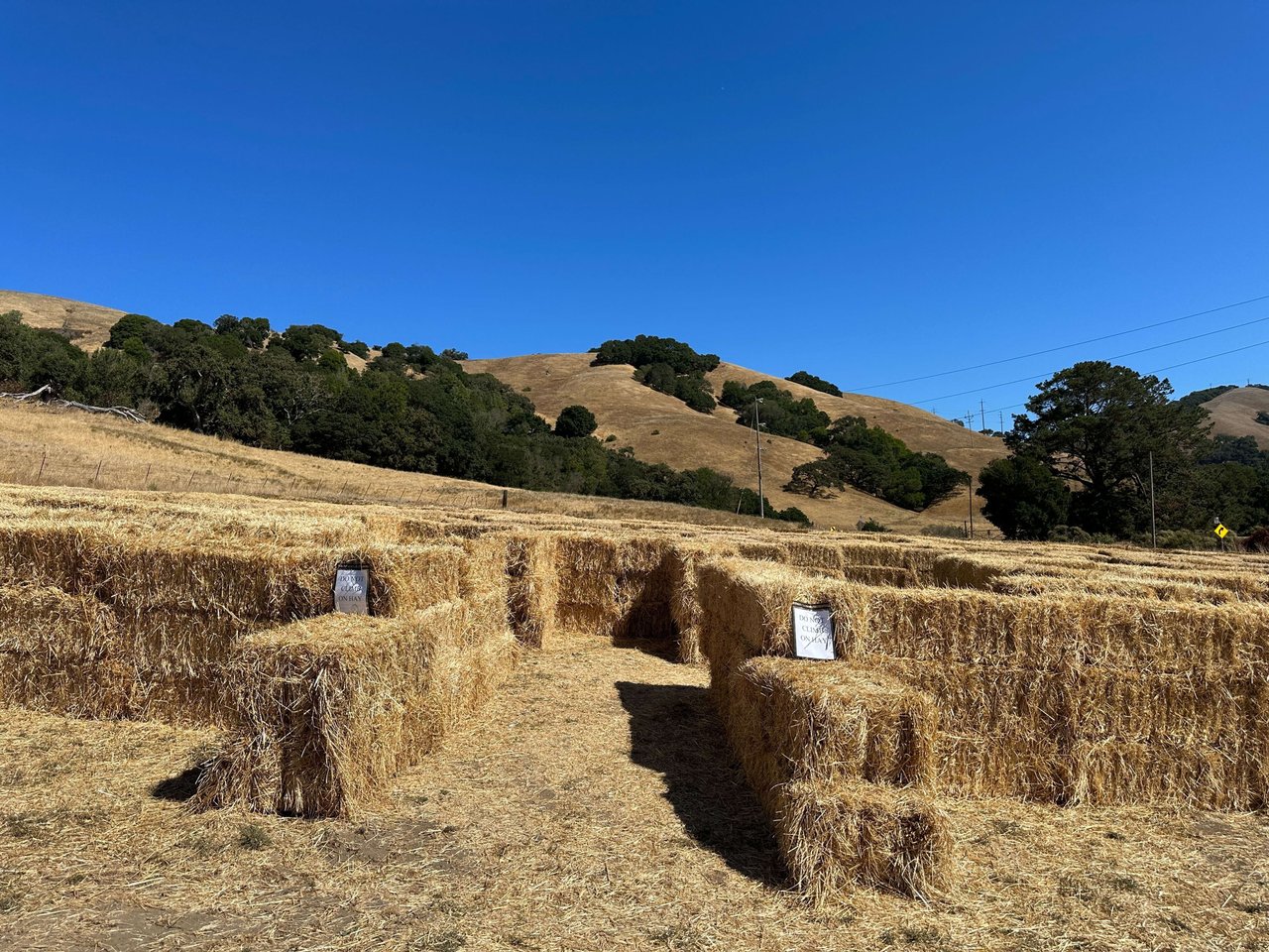 Embrace the Harvest Season at Grossi Family Farm Pumpkin Patch