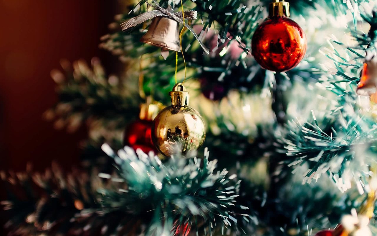 Indy Holiday Family Fun