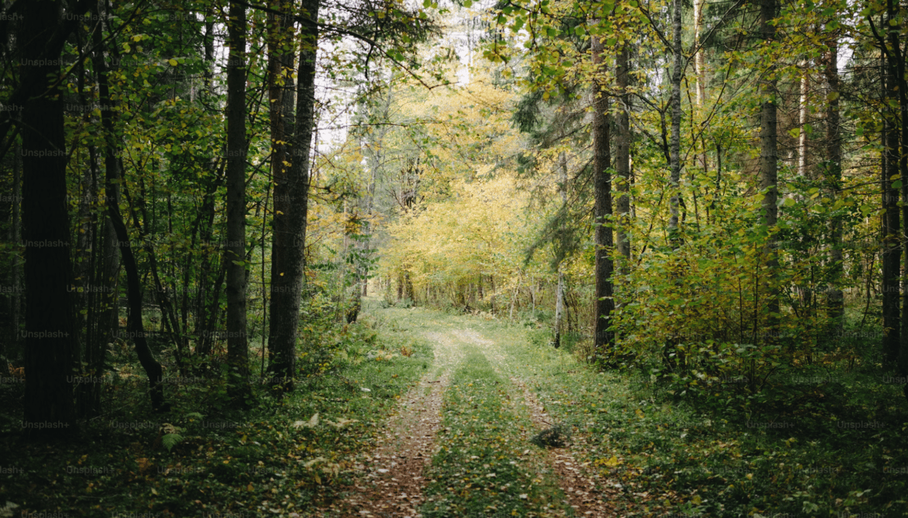 Hiking in Watkinsville: A Nature Lover's Paradise