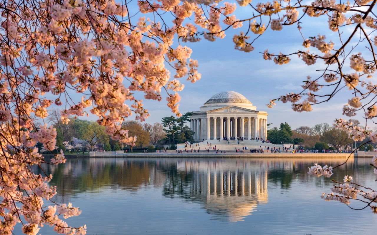 Washington DC