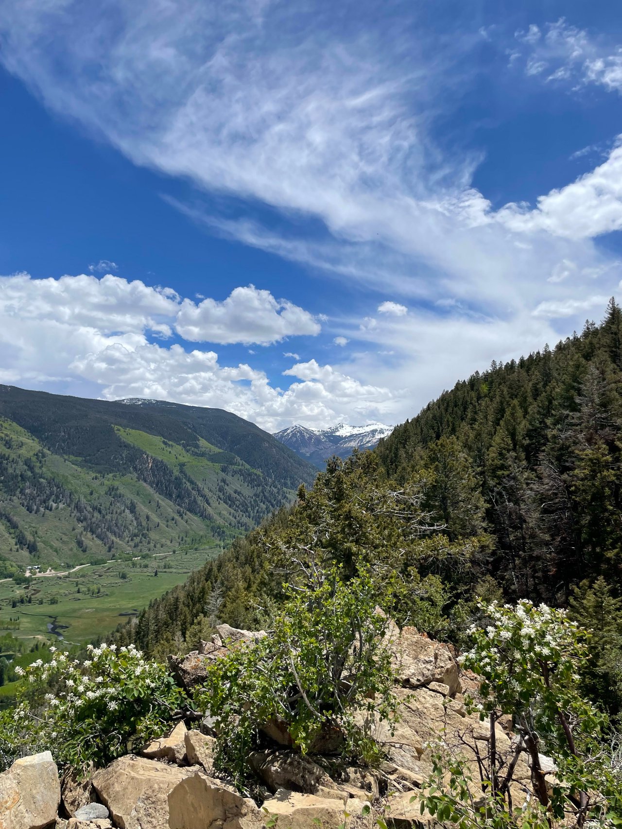 Hiking Aspen Trails - Ute Trail