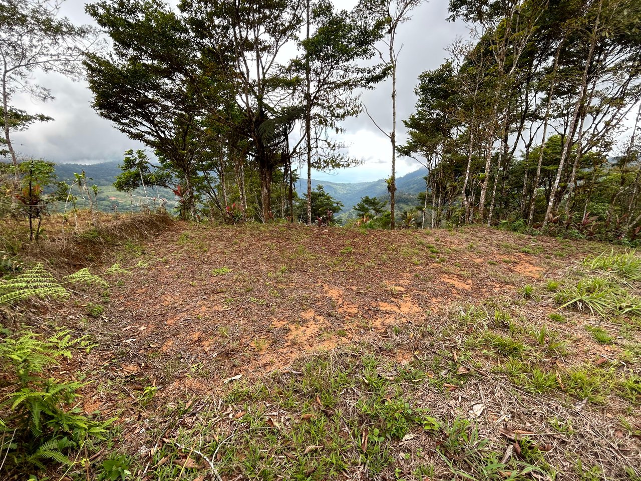 Whale Tail, Ocean & Mountain View lot in San Luis.