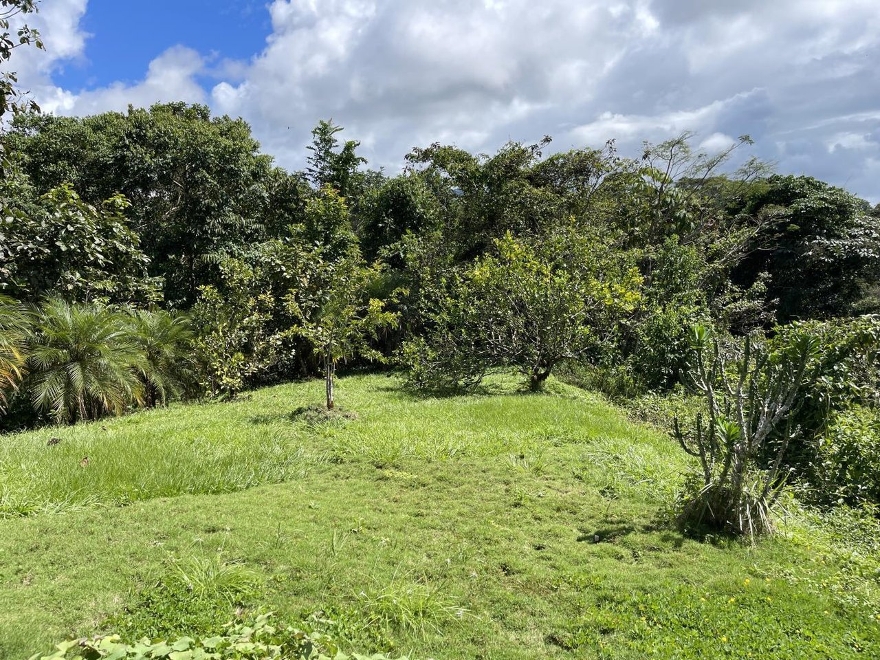 5.2 Acres, 2 Bedroom Home With 60 Ft Infinity Lap Pool, 1 Bedroom Guest House, Ocean View!