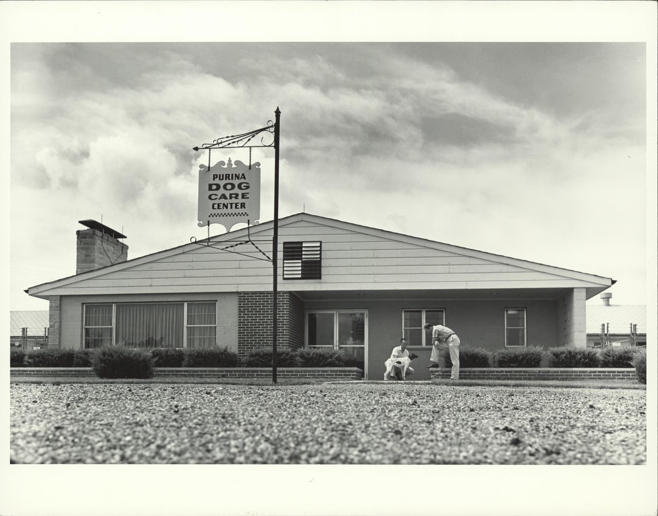 How Purina Farms turned 100 years of history into a pet lover’s destination