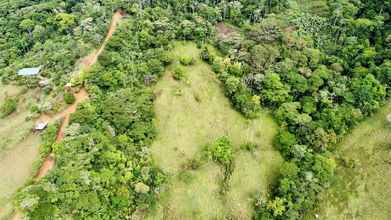 Hidden Gem: Serene Farm Retreat with Majestic Views in Costa Rica