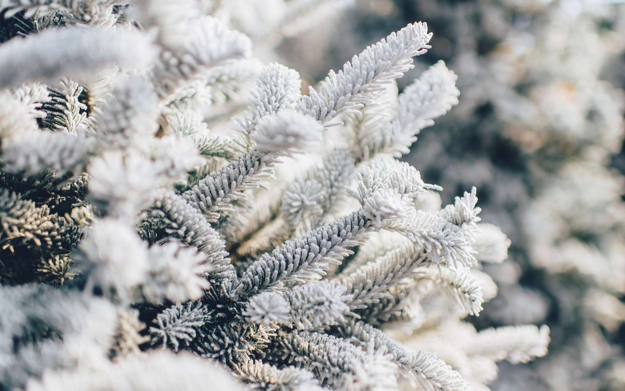 A Jingle Jangle Christmas Musical Revue: White Christmas, Holiday Inn, Meet Me in St. Louis