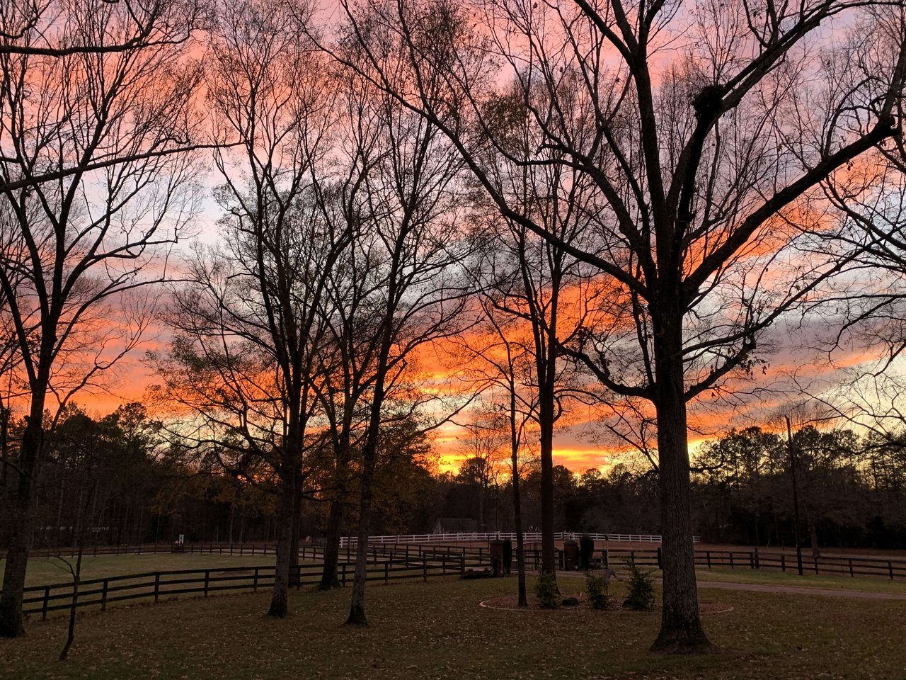 Blue Sky Ranch