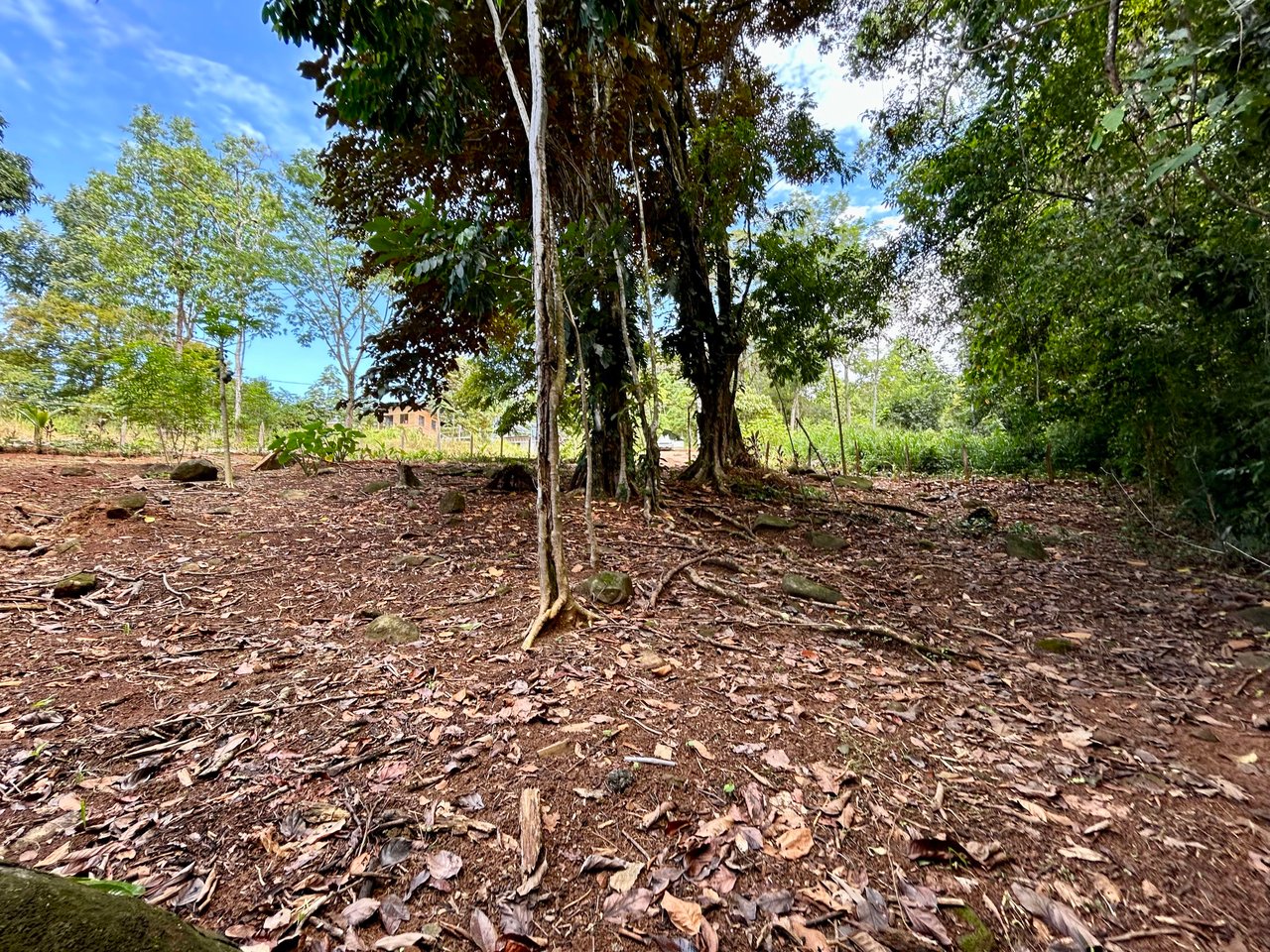 Jungle Side Lots in Uvita, Walking Distance to Amenities