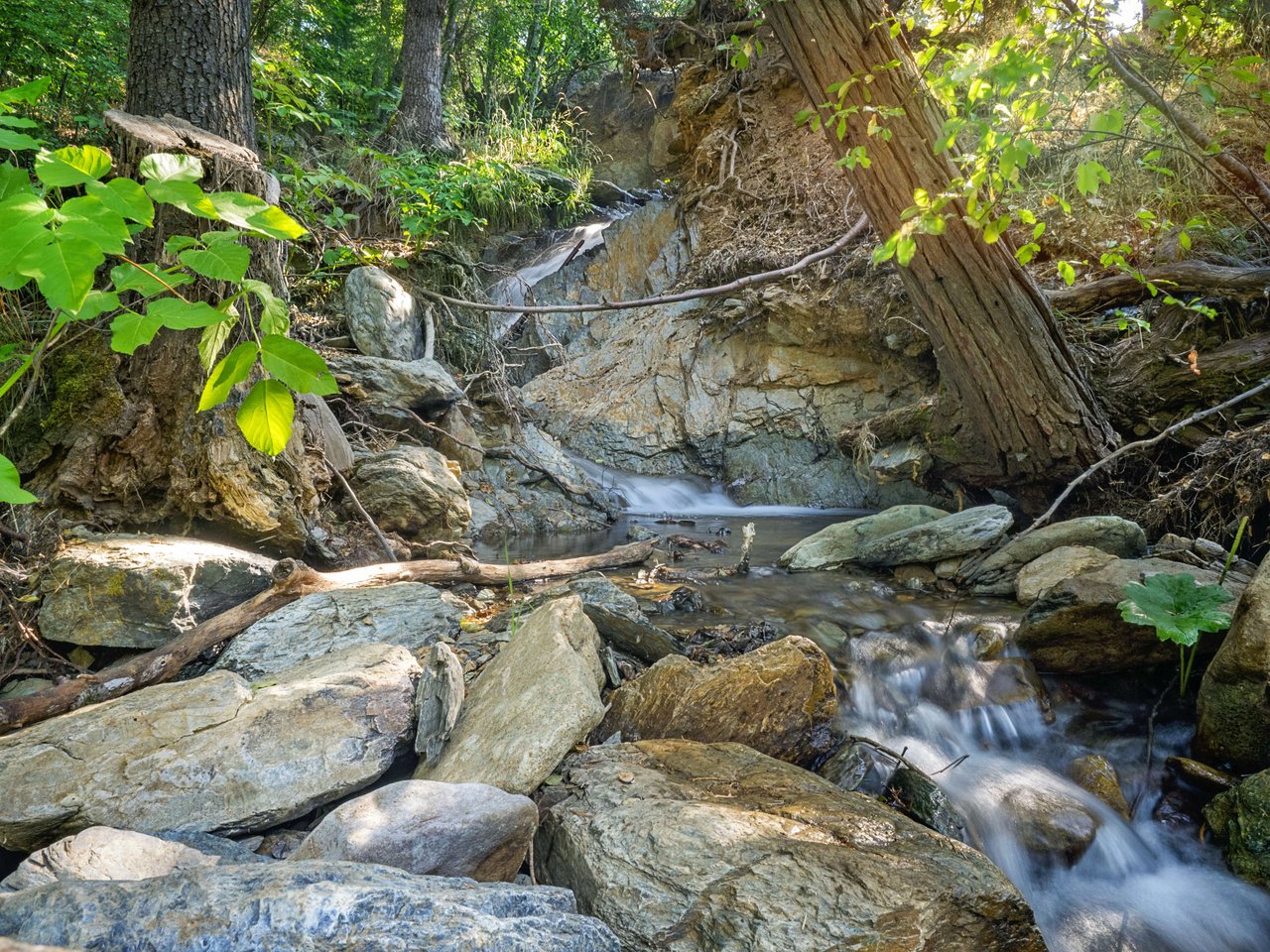 The Lost Sierra | Plumas & Sierra Counties