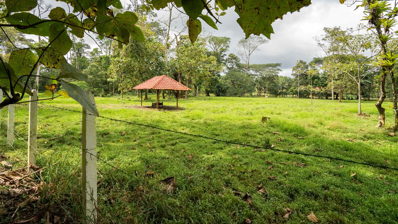 Stunning Tropical Home in Gated community with Hundreds of fruit trees  