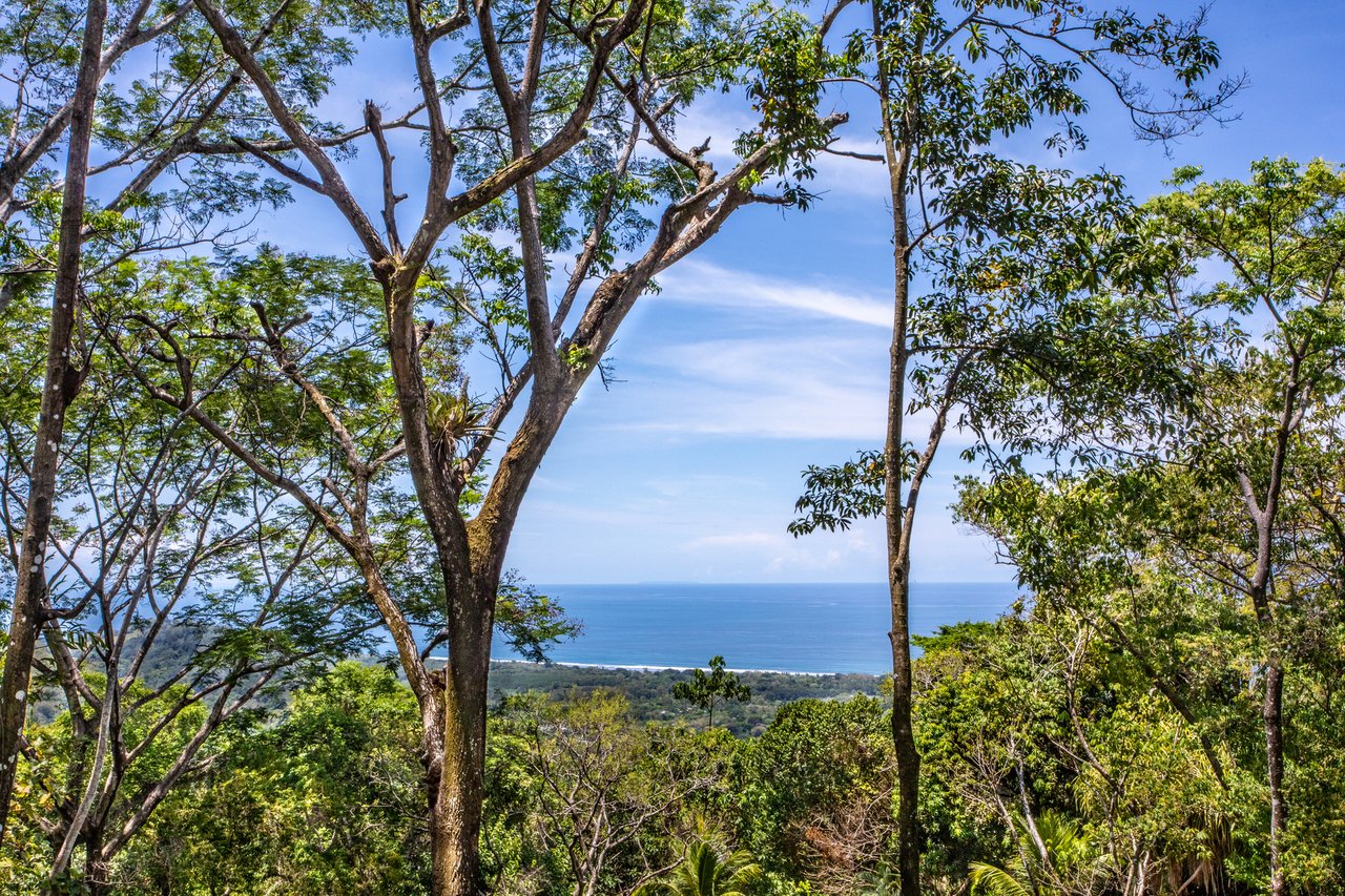 Rainforest Ridge Ocean View Ranch, Manuel Antonio, Puntarenas