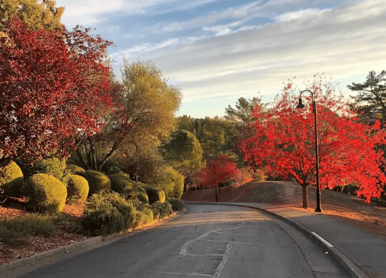 The Quiet Strength of Marin’s Fall Market