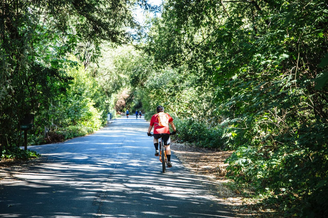 Hiking & Biking Trails in Sonoma County