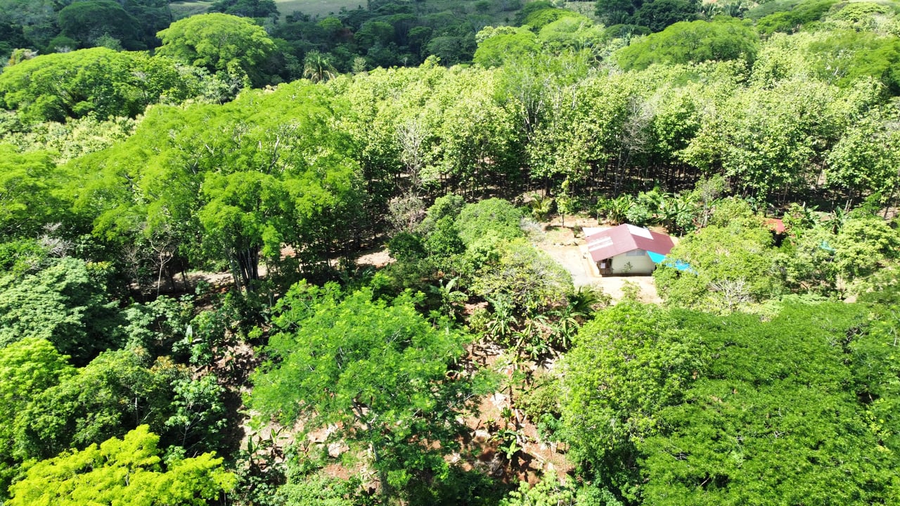 7-Hectare Farm with Teak Plantation, Existing Home & Eco-Development Potential Near Parrita, Costa Rica