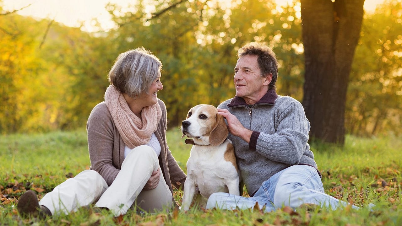 Downsizing With Pets in the Raleigh Area: What Retirees Need to Know Before Moving