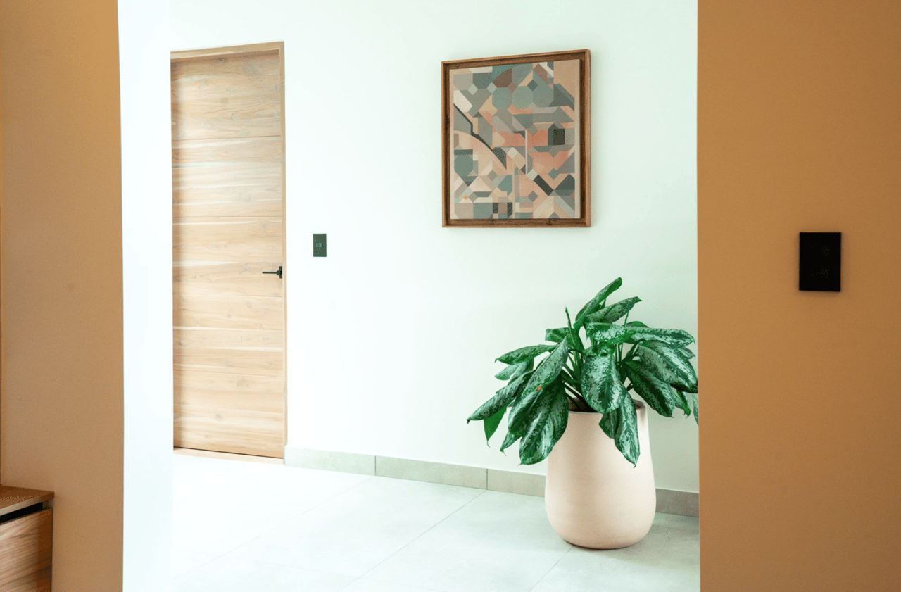 Casa Agua Viva: Modern Oceanview Luxury In Playa Grande Las Ventanas